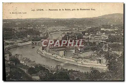 Ansichtskarte AK Lyon Panorama De La Saone Pris Du Restaurant Gay