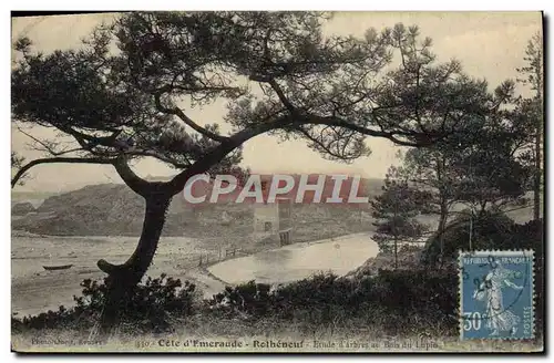 Ansichtskarte AK Cote D&#39Emeraude Rotheneuf Etude d&#39arbres au bois du lapin