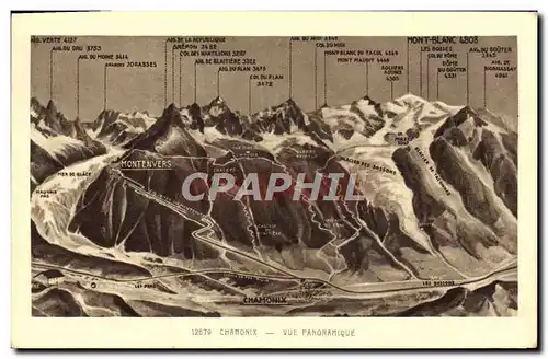 Cartes postales Chamonix Vue Panoramique