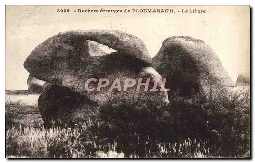 Ansichtskarte AK Rochers Etranges De Ploumanach Le Lievre Lapin