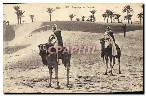 Cartes postales Paysage au desert Chameaux