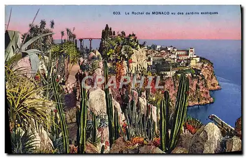 Cartes postales Le Rocher de Manaco vu des Jardins exotiques