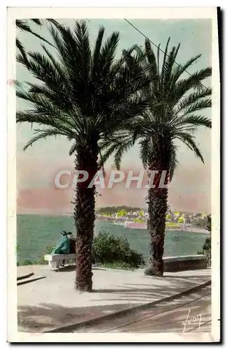 Cartes postales Toulon Boulevard du Littoral Palmier