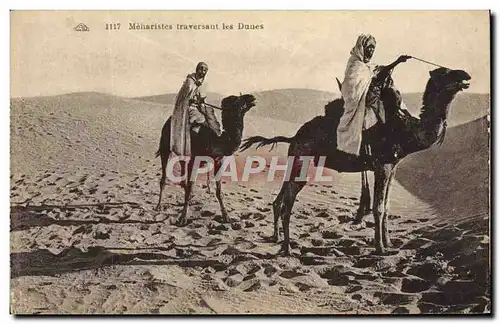 Cartes postales Meharistes traversant les Dunes Chameau