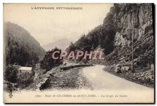 Cartes postales Route de Chambon au Mont dore Les Gorges du Surain