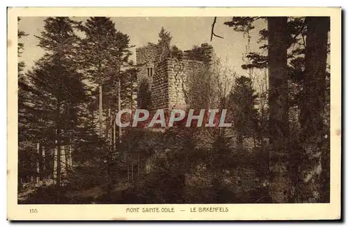 Cartes postales Mont Sainte Odile Le Birkenfels