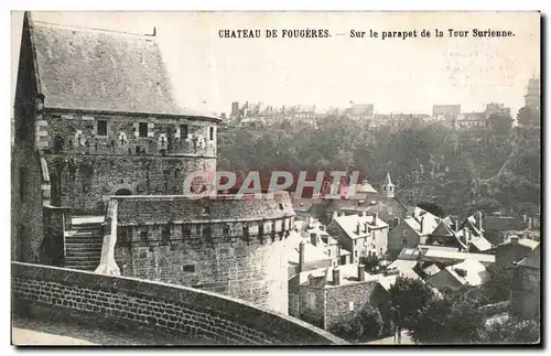 Cartes postales Chateau De Fougeres Sur le Parapet de la Tour Surienne