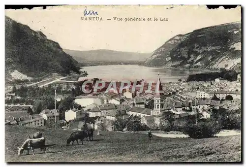 Ansichtskarte AK Nantua Vue Generale et le Lac Vaches