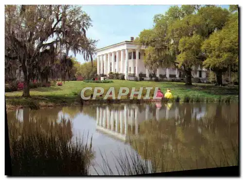 Cartes postales moderne Greenwood Plantation