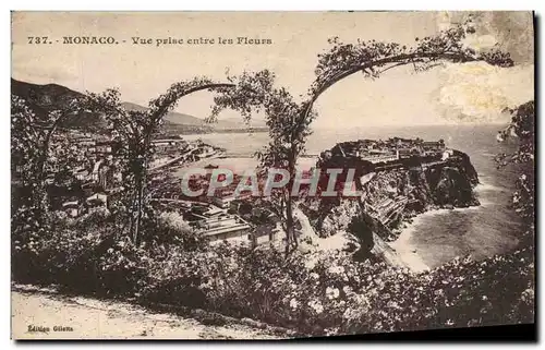 Cartes postales Monaco Vue Prise entre les Fleurs