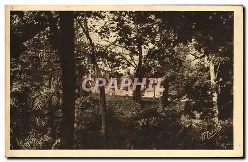 Cartes postales Josselin Chateau Facade interieure vue du parc