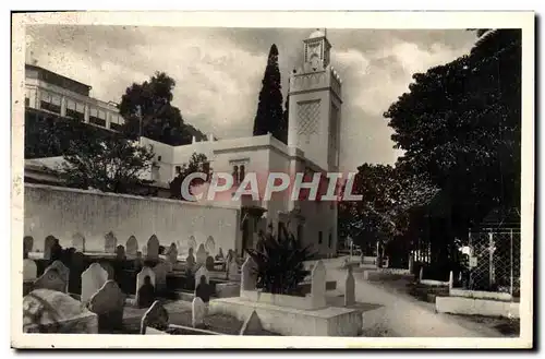 Cartes postales Alger Mosquee Du Hamma Et Cimetiere Indigene