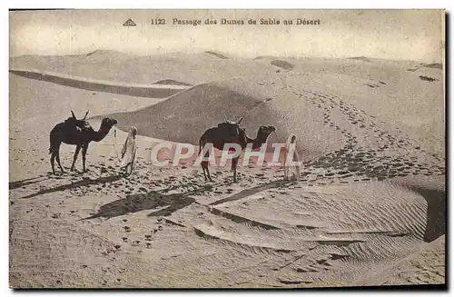 Cartes postales Passage des Dunes de Sable au Desert Chameaux