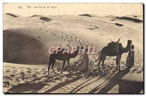 Ansichtskarte AK Les Dunes de Sable Chameaux