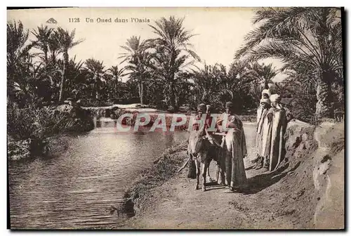 Cartes postales Un Oued dans l&#39Oasis Ane Mule