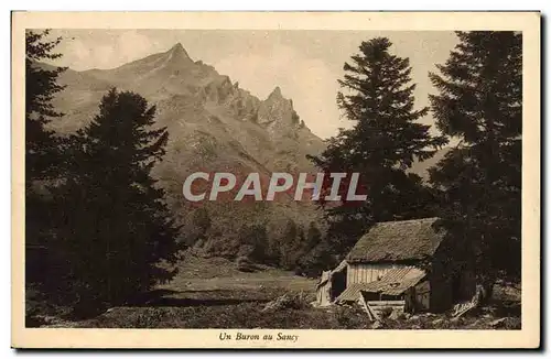 Cartes postales Un Buron Au Sancy