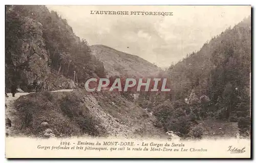 Ansichtskarte AK Environs Du Mont Dore Les Gorges Du Surain