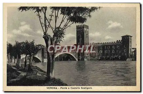 Cartes postales Verona Ponte e Castello Scallgero