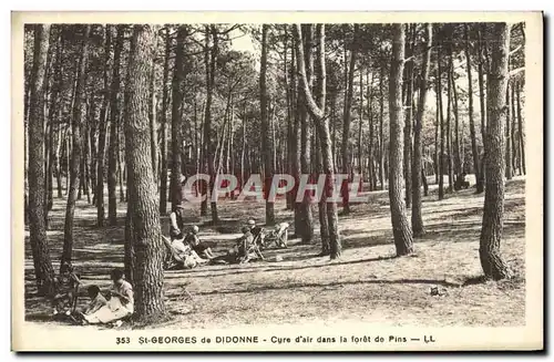 Cartes postales St Georges de Didonne Cure d'air dans la foret de Pins