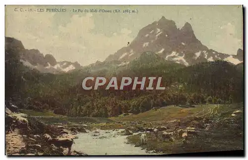 Cartes postales Les Pyrenees Le Pic du Midi d&#39Ossau