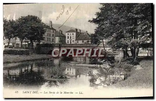 Ansichtskarte AK Saint Die Les Bords de la Meurthe