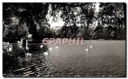 Cartes postales moderne Lyon Villeurbanne Le Lac Parc de la Tete d&#39or