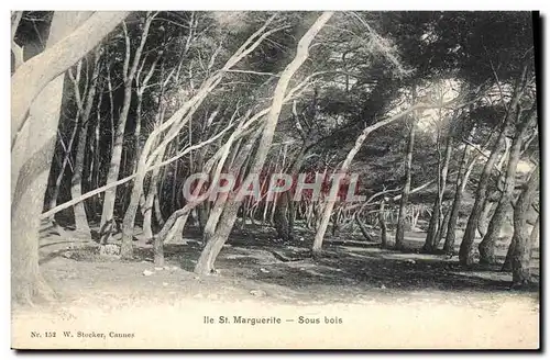 Cartes postales lle St Marguerite Sous bois