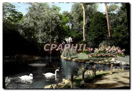 Cartes postales moderne La Rochelle La riviere dans les parcs Cygnes