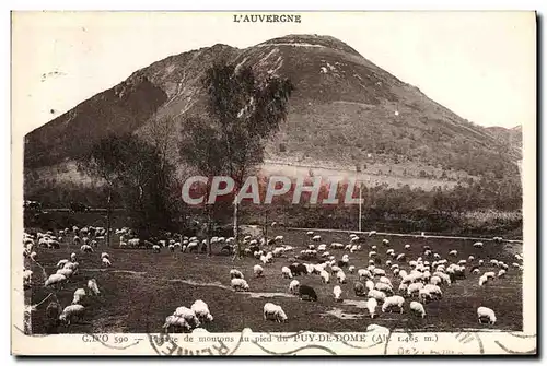Ansichtskarte AK Plage de moutons au Pied du Puy de Dome