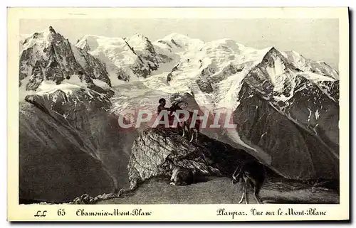 Cartes postales Chamonix Mont Blanc Planpraz Vue sur le Mont Blanc Chevre Bouc