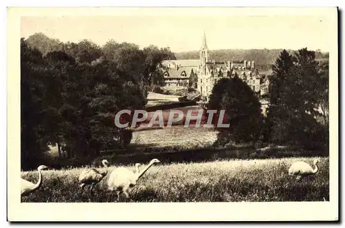 Ansichtskarte AK Parc Zoologique de Cleres Vue Generale Zoo Autruche Autruches