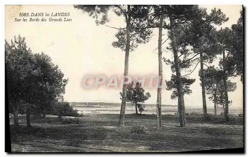 Ansichtskarte AK Dans Les Landes Sur les Bords des Grands Lacs