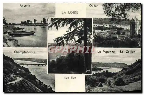 Cartes postales moderne La Loire Ancenis Oudon Champtoceaux La Varenne Le Cellier Les iles