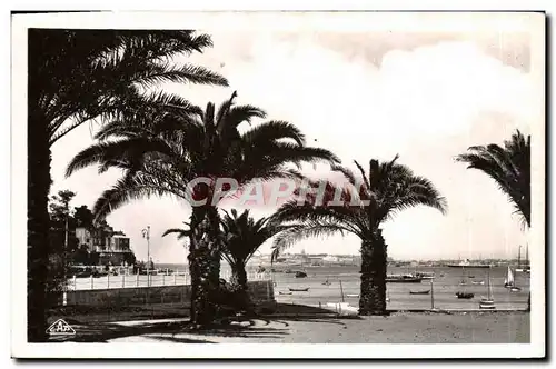 Cartes postales Dinard Les palmiers Au fond St Malo a droite le Britanny