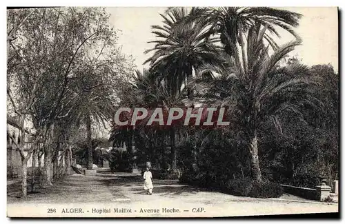 Cartes postales Alger Hopital Maillot Avenue Hoche
