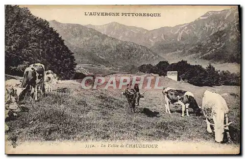 Ansichtskarte AK L&#39Auvergne Pittoresque La vallee de Chaudefour Vaches