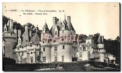 Cartes postales Usse Le Chateau Vue D&#39ensemble