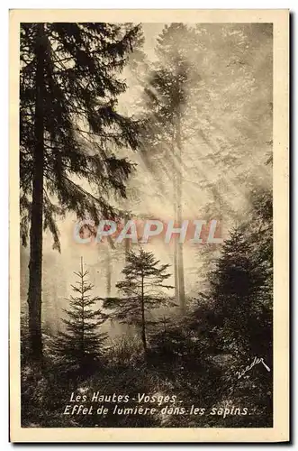 Cartes postales Les Hautes Vosges Effet de lumiere dans les sapins