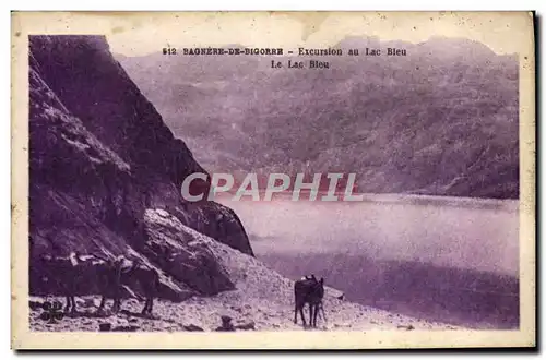 Cartes postales Bagnere De Bigorre Excursion Au Lac Bleu Anes