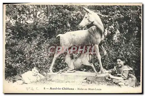 Cartes postales Auxi Le Chateau Biche au Mont Louis Enfants