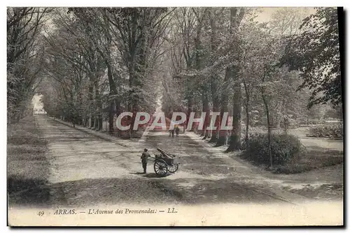 Ansichtskarte AK Arras L&#39Avenue des Promenades Colporteur