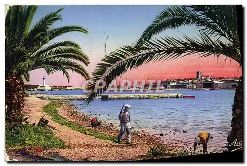 Cartes postales Antibes vu a Travers les Palmiers