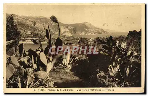 Cartes postales Nice Plateau du Mont Boron Vue vers Villefranche et Monaco Cactus