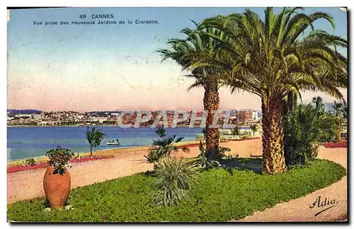 Cartes postales Cannes Vue Prise des Nouveaux Jardins de la Croisette