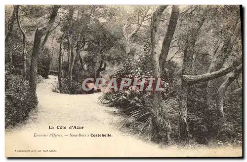 Ansichtskarte AK Environs d&#39Hyeres Sous Bois a Costebelle