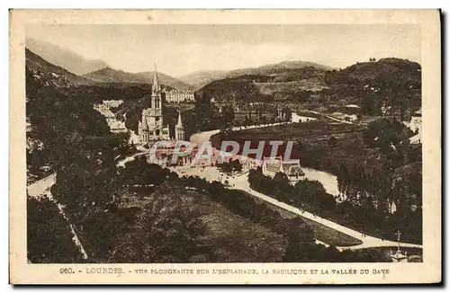 Cartes postales Lourdes Vue Plongeante sur L&#39Esplanade La Basilique et la Vallee du Gave