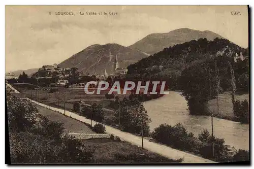 Cartes postales Lourdes La Vallee et le Gave