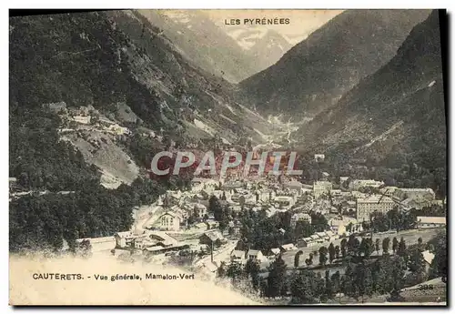 Cartes postales Cauterets Vue Generale Mamelon Vert