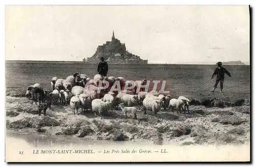 Ansichtskarte AK Le Mont Saint Michel Les Pres Sales des Greves Berger Moutons