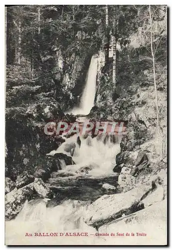 Cartes postales Au Ballon D'Alsace Cascade du saut de la truite